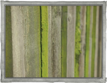 In Sight: Green and Grey