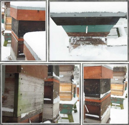 In Sight: Snowy Bee Hives