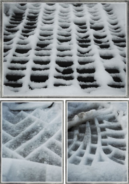 In Sight: Patterns in the Snow