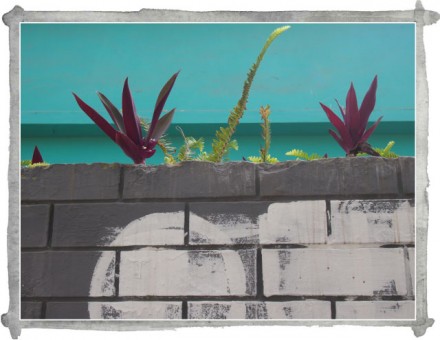 In Sight: Barranco street view – 2